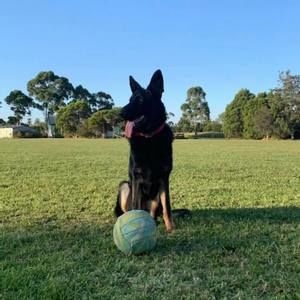 Meet your Posher, Ebony